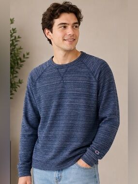 Champion Men’s Blue Heather Stripe Crewneck Large Pullover